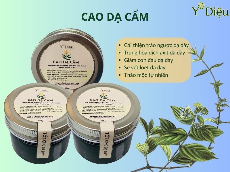 Cao dạ cẩm có thể ức chế và tiêu diệt Hp